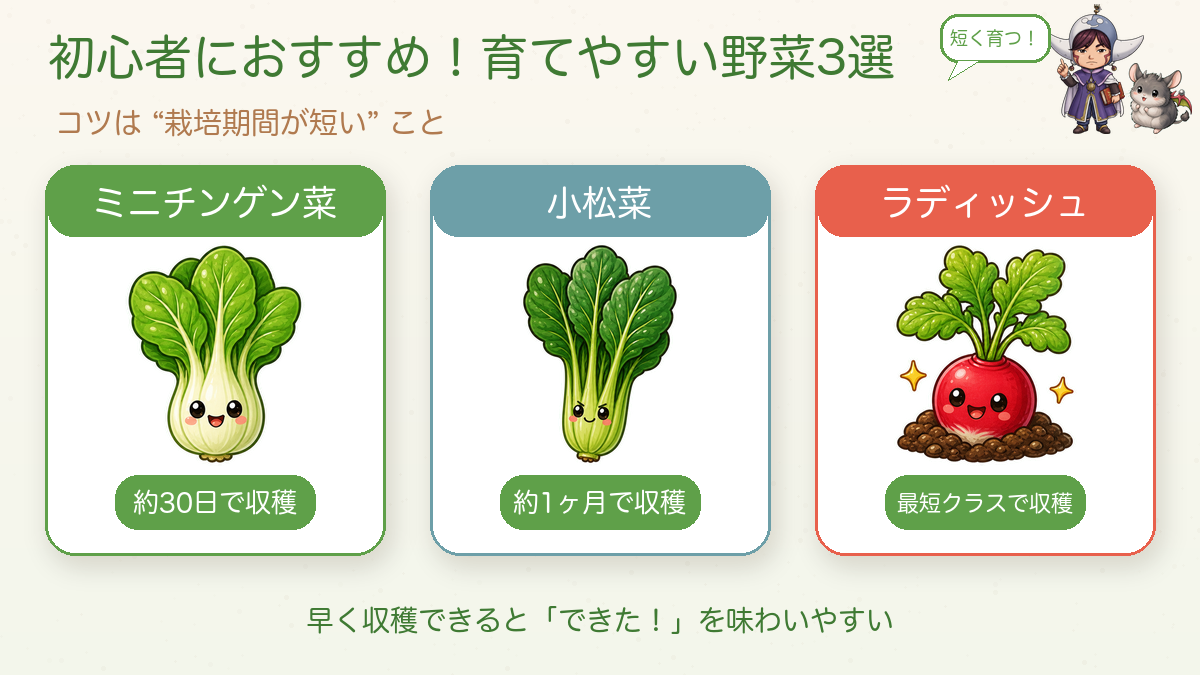 育てやすい野菜3選