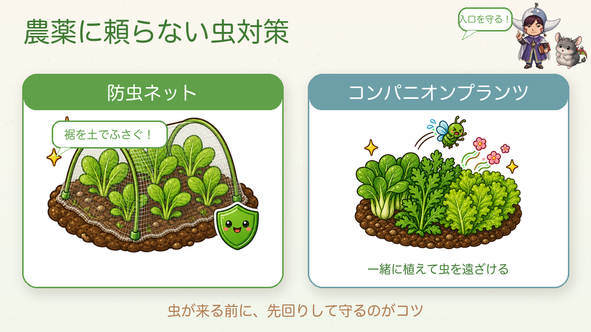 無農薬の虫対策